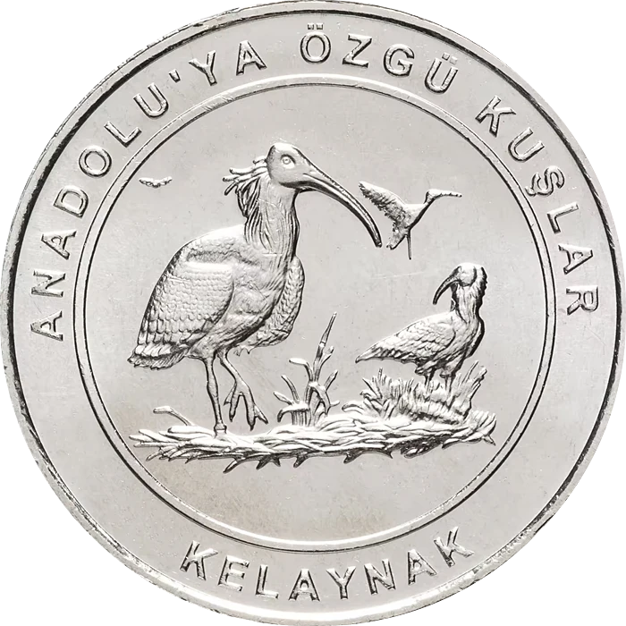Kelaynak