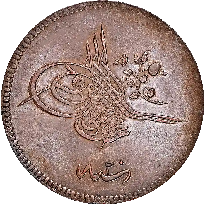 Abdülmecid 20 Para 1255 (1839)